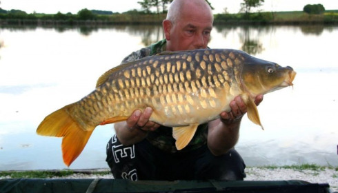 A carp from Jonchery, Apr 2014