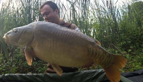 A carp from Jonchery, Jul 2017