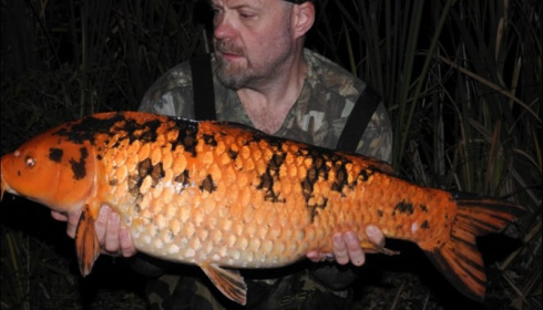 A 22 lb 12 oz carp from Jonchery, Jamie Allen, Sep 2018