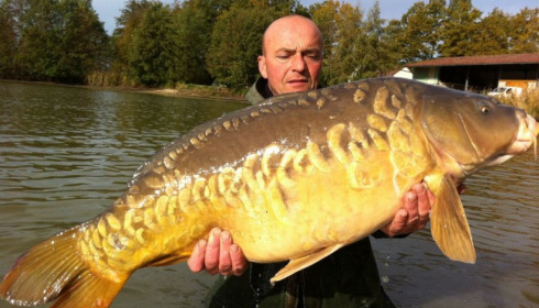 A carp from Jonchery, Nov 2012