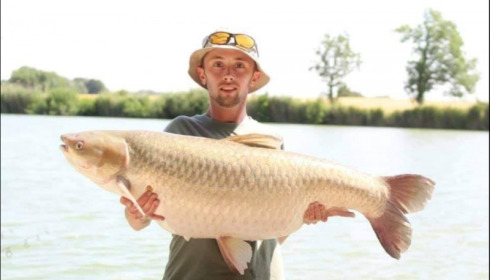 A carp from Jonchery, Jul 2019