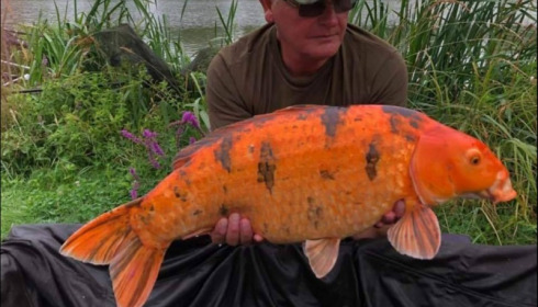 A carp from Jonchery, Aug 2019