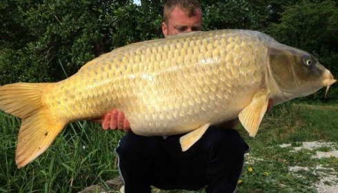 A 47 lb carp from Jonchery, Jun 2014