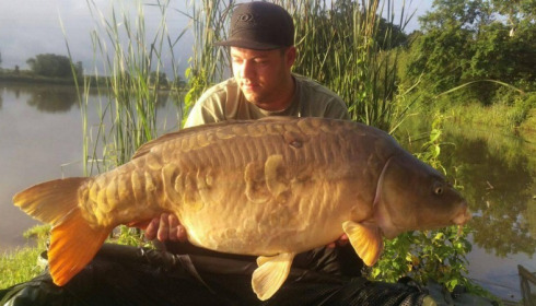 A carp from Jonchery, Jul 2016