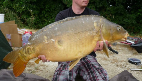 A carp from Jonchery, Jul 2013