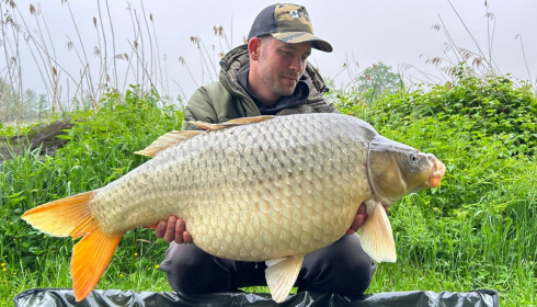 A carp from Jonchery, May 2023