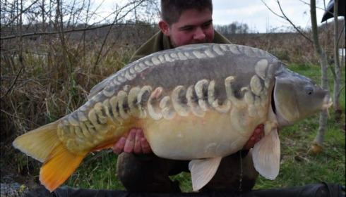 A carp from Jonchery, Mar 2019
