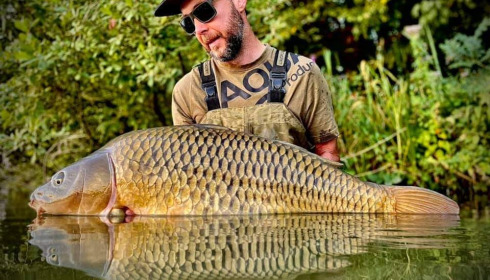 A carp from Jonchery, Sep 2021