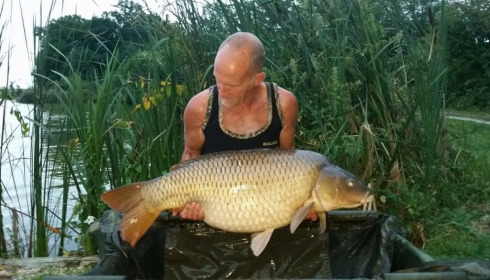 A carp from Jonchery, Sep 2017