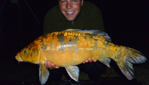 A carp from Jonchery, May 2014