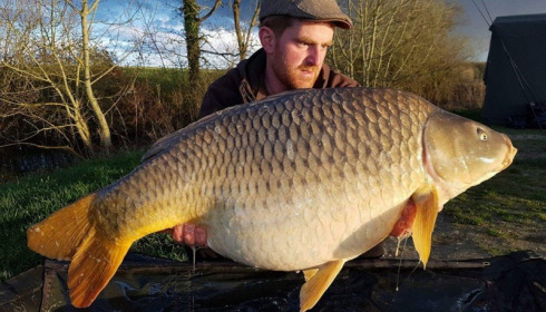 A carp from Jonchery, Apr 2016