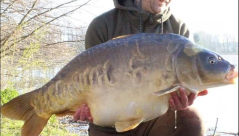 A carp from Jonchery, Apr 2019