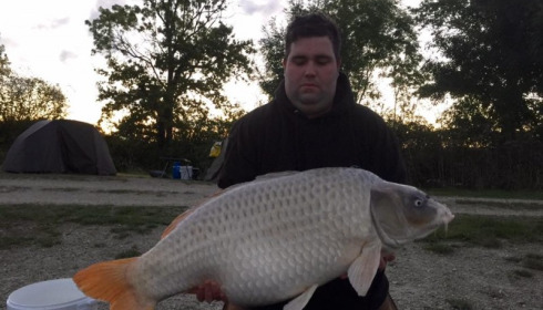 A carp from Jonchery, Oct 2016