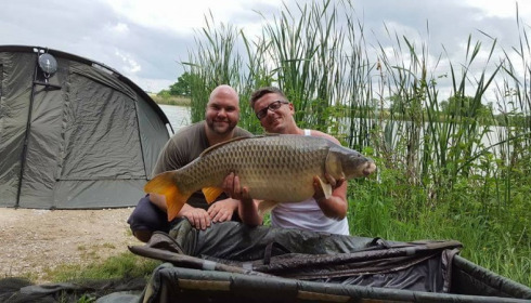 A carp from Jonchery, Jun 2017