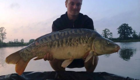 A carp from Jonchery, Jun 2014