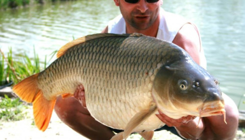 A carp from Jonchery, Apr 2014