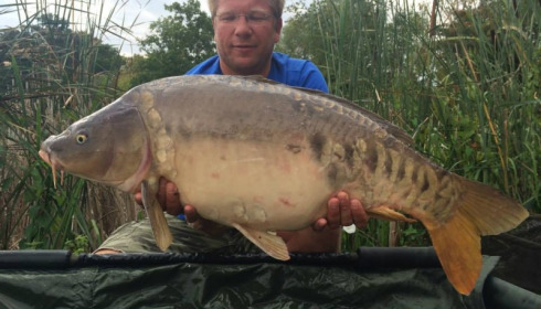 A carp from Jonchery, Sep 2014