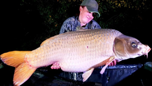 A carp from Jonchery, Oct 2019