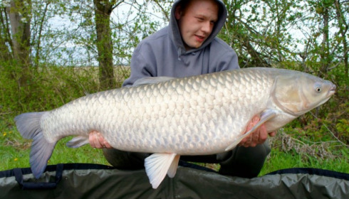 A grass carp from Jonchery, Apr 2012