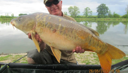 A carp from Jonchery, May 2014