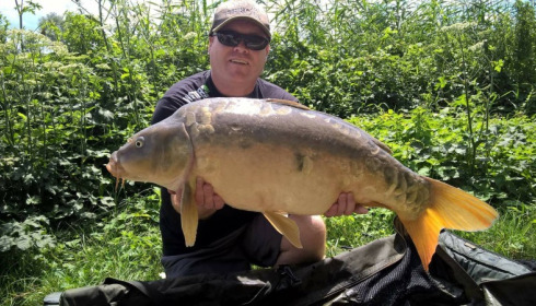 A carp from Jonchery, Jul 2017