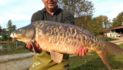 A carp from Jonchery, Nov 2012
