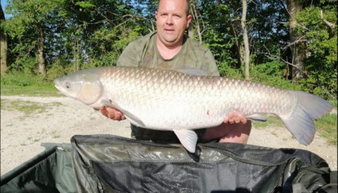 A carp from Jonchery, May 2019