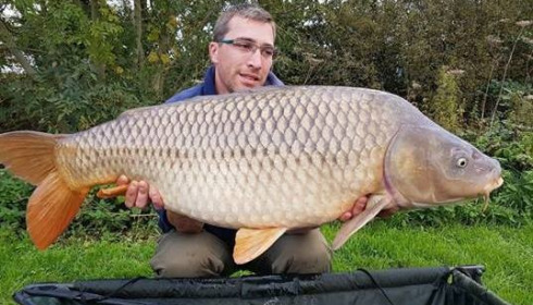 A carp from Jonchery, Oct 2017