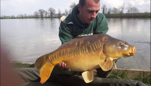 A carp from Jonchery, Apr 2019