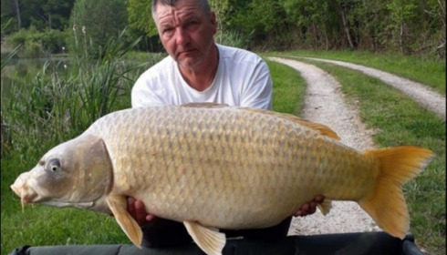 A carp from Jonchery, May 2019