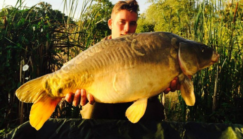 A carp from Jonchery, Sep 2014