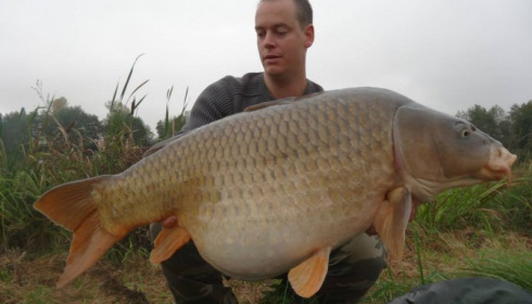 A carp from Jonchery, Nov 2014