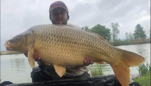A carp from Jonchery, May 2019