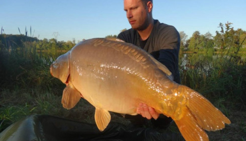 A carp from Jonchery, Nov 2014