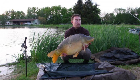 A carp from Jonchery, May 2013