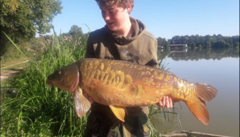 A carp from Jonchery, Aug 2019
