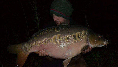 A carp from Jonchery, Sep 2015