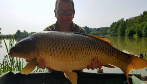 A carp from Jonchery, Aug 2017