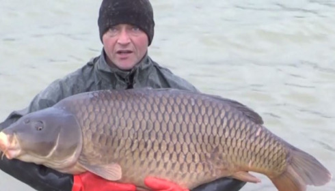 A carp from Jonchery, January Stocking, Jan 2014