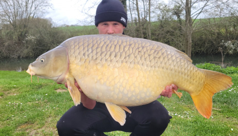 A 46 lb 10 oz fish from Jonchery, Common, Apr 2023