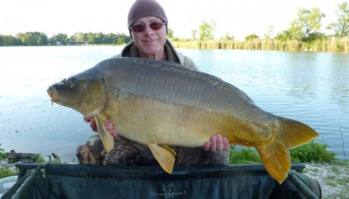 A carp from Jonchery, May 2014