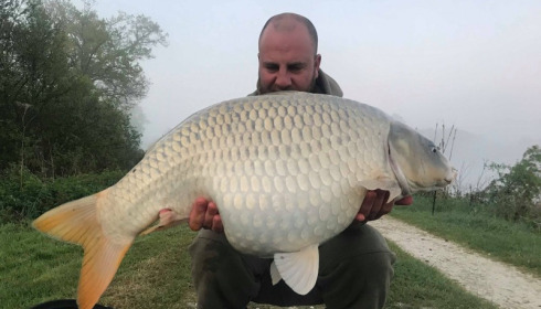 A carp from Jonchery, Apr 2018