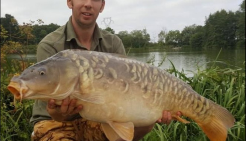 A carp from Jonchery, Aug 2018