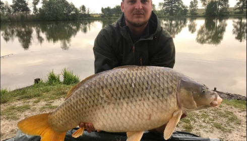A carp from Jonchery, Jun 2019