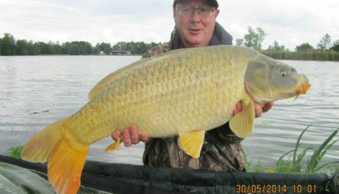 A carp from Jonchery, May 2014