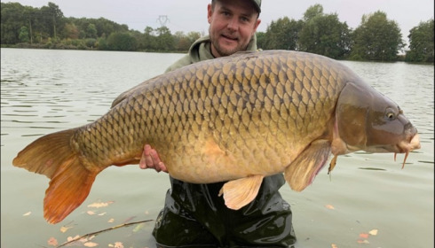 A carp from Jonchery, Sep 2019
