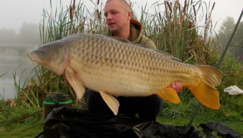 A carp from Jonchery, Sep 2014