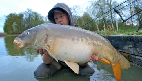A carp from Jonchery, Apr 2012