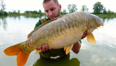 A carp from Jonchery, Aug 2014