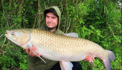 A carp from Jonchery, Jun 2019